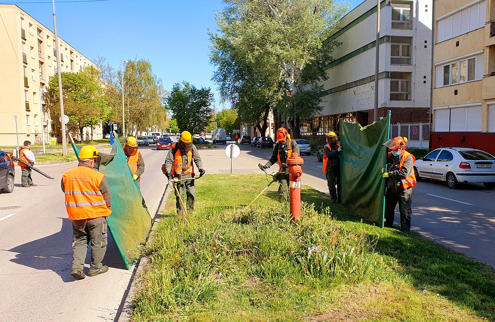 Így zajlanak jelenleg a zöldterület fenntartási feladatok a Városgondnokságon